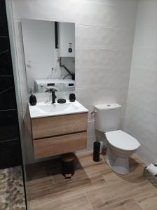W łazience znajduje się toaleta, umywalka i lustro. w obiekcie Loft sauna jacuzzi ospariegeois w mieście Lavelanet