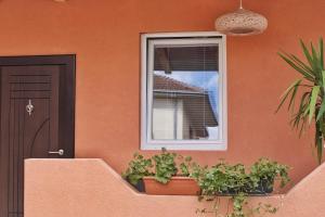 オフリドにあるMy place studioの窓があり、階段に植物がいくつかある家