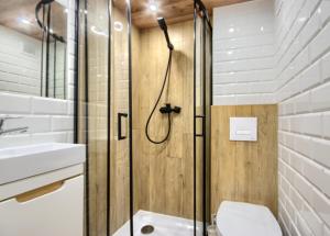 een badkamer met een douche, een toilet en een wastafel bij Studio Mini Apart 6.3 - ACCO RENT in Gdańsk