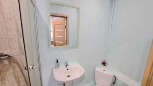 ein Badezimmer mit einem Waschbecken, einem WC und einem Spiegel in der Unterkunft Sakņu 16/18 in Daugavpils