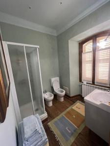 a bathroom with a shower and a toilet and a sink at B&B VILLA ROSA in Anzino