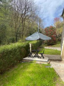 een picknicktafel met een paraplu in het gras bij Chez Julie petit appartement une chambre rez jardin maison in Tulle