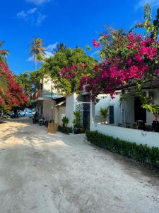 圖魯斯德豪的住宿－Ocean Cottage Maldives，花房边的花房