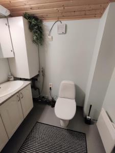 a bathroom with a toilet and a sink at Villa Haapala in Rovaniemi