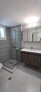 a bathroom with a shower and a sink and a toilet at Brand new cozy apartment in Mesaíon Karlovásion