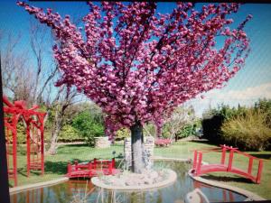 Fotografia z galérie ubytovania Location zen en Provence v destinácii Mormoiron