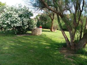 Fotografia z galérie ubytovania Location zen en Provence v destinácii Mormoiron