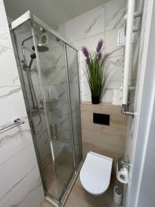 W łazience znajduje się toaleta i przeszklony prysznic. w obiekcie Apartament nad Zalewem w Serocku