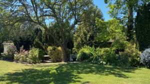 a shady yard with a tree and some bushes at Ye Olde Plough House 