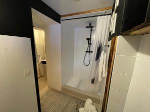 een badkamer met een douche en een douchegordijn bij Ferienwohnung Canzlia Veglia in Sedrun