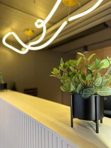 Mynd úr myndasafni af Inger Hotell í Narva