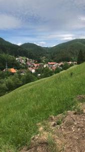 ein grüner Hügel mit einer Stadt in der Ferne in der Unterkunft Haus an der Sieber Zimmer 2 in Herzberg am Harz