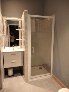 een badkamer met een douche en een wastafel bij La Cochetière in Cheviré-le-Rouge