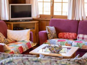 TV a/nebo společenská místnost v ubytování Chalet L'Alouette by Interhome