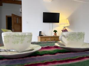 Telewizja i/lub zestaw kina domowego w obiekcie Apartamenty Stajnia Ojcowizna
