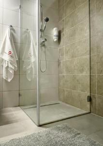 prysznic ze szklanymi drzwiami w łazience w obiekcie Apartamenty Stajnia Ojcowizna w mieście Pokrzywnica