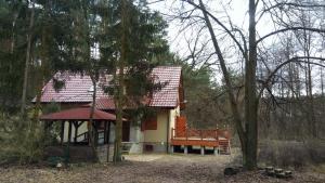 een huis met een rood dak in het bos bij Cztery Pory Lasu 