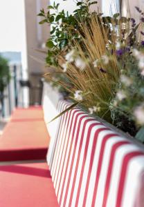 Zdjęcie z galerii obiektu JOST Hostel Montpellier Centre St Roch w Montpellier