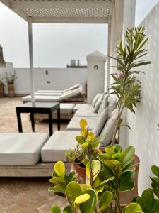 eine Reihe weißer Betten auf einer Terrasse mit Pflanzen in der Unterkunft Riad Dar Awil in Essaouira