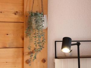 a room with a lamp and a plant on the wall at Studio Le Bristol B36 by Interhome in Villars-sur-Ollon