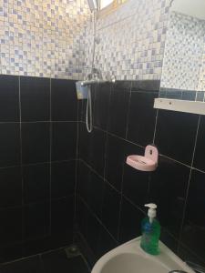 uma casa de banho com WC e um coração cor-de-rosa na parede em Villa Pointe Aux Piments em Pamplemousses Village