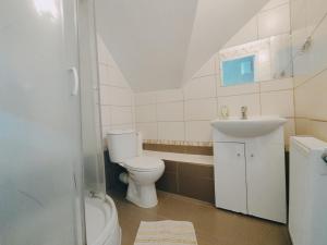 a bathroom with a toilet and a sink at Siedem Ogrodów - Pokoje w Domku Kucharza in Łowicz Wałecki
