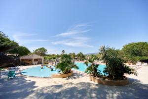 a large swimming pool with palm trees in a resort at Glamping Frejus in Roquebrune-sur-Argens