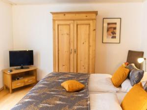 TV a/nebo společenská místnost v ubytování Holiday Home Jula by Interhome