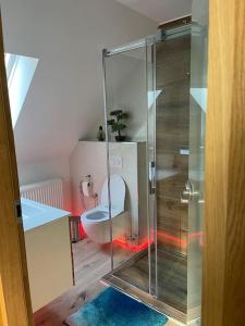 baño con aseo y puerta de cristal en Haus an der Sieber Zimmer 5, en Herzberg am Harz