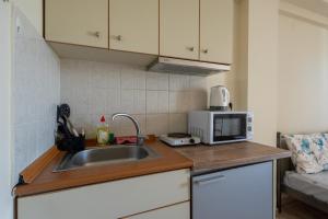 uma cozinha com um lavatório e um micro-ondas em Elia mini suites 7 em Lárissa