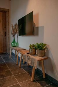 ein Zimmer mit zwei Bänken mit Topfpflanzen darauf in der Unterkunft Kerkdreef8 in Merkem