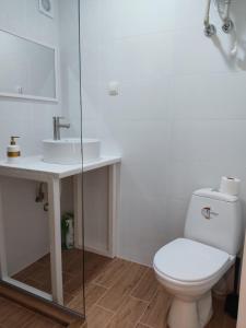 a bathroom with a toilet and a sink at house for relaxation in Kriukivshchyna
