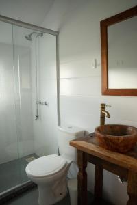 a bathroom with a toilet and a sink and a mirror at Cabana Serra Grande Sossego in Gramado