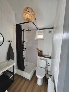 a small bathroom with a toilet and a bath tub at Pussala Latgalē 