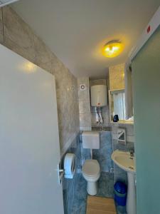 a bathroom with a toilet and a sink at Apartmani ABA in Stanići +19 photos
