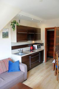 Kuchyňa alebo kuchynka v ubytovaní Apartament Tatry - Kościelisko