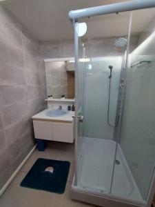 La salle de bains est pourvue d'une douche en verre et d'un lavabo. dans l'établissement Le Pepin Dort, à Pepinster