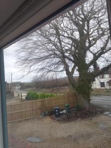 una ventana con vistas a un árbol y una valla en Beech House 20 minute walk to Airport, en Bristol
