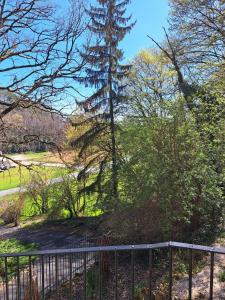 une clôture dans un parc avec un pin dans l'établissement Gîtes du Bois de Bontemps, à Sarlat-la-Canéda