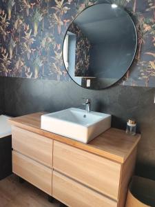 a bathroom with a sink and a mirror at L'Horizon in Bergheim