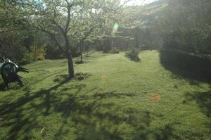 Jardín al aire libre en Casa Ines
