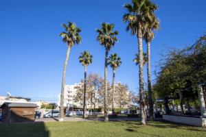 Fotografia z galérie ubytovania Apartamento Alegria ID112 v destinácii Torrevieja
