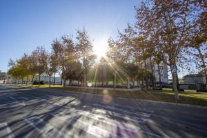 Fotografia z galérie ubytovania Apartamento Alegria ID112 v destinácii Torrevieja