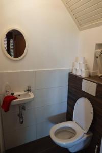 W łazience znajduje się toaleta, umywalka i lustro. w obiekcie Vakantieboerderij 'Op den Pötter' w mieście Lievelde