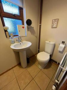 a bathroom with a toilet and a sink at The Shed. in Knockcloghrim