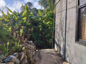 un lado de un edificio con una ventana y algunas plantas en AJjaa's Place, en Sagada