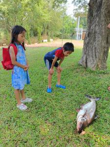 deux enfants qui regardent un poisson mort dans l'herbe dans l'établissement Rai Lung Tui Homestay, à Prachuap Khiri Khan