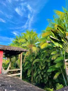 a group of palm trees next to a red building at Pousada Fasani in Ilha de Boipeba