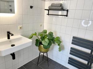 uma casa de banho com um lavatório e um vaso de plantas em City-Apartment nahe Zentrum em Schwerin