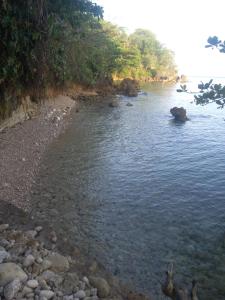 Paesaggio naturale nelle vicinanze dell'appartamento